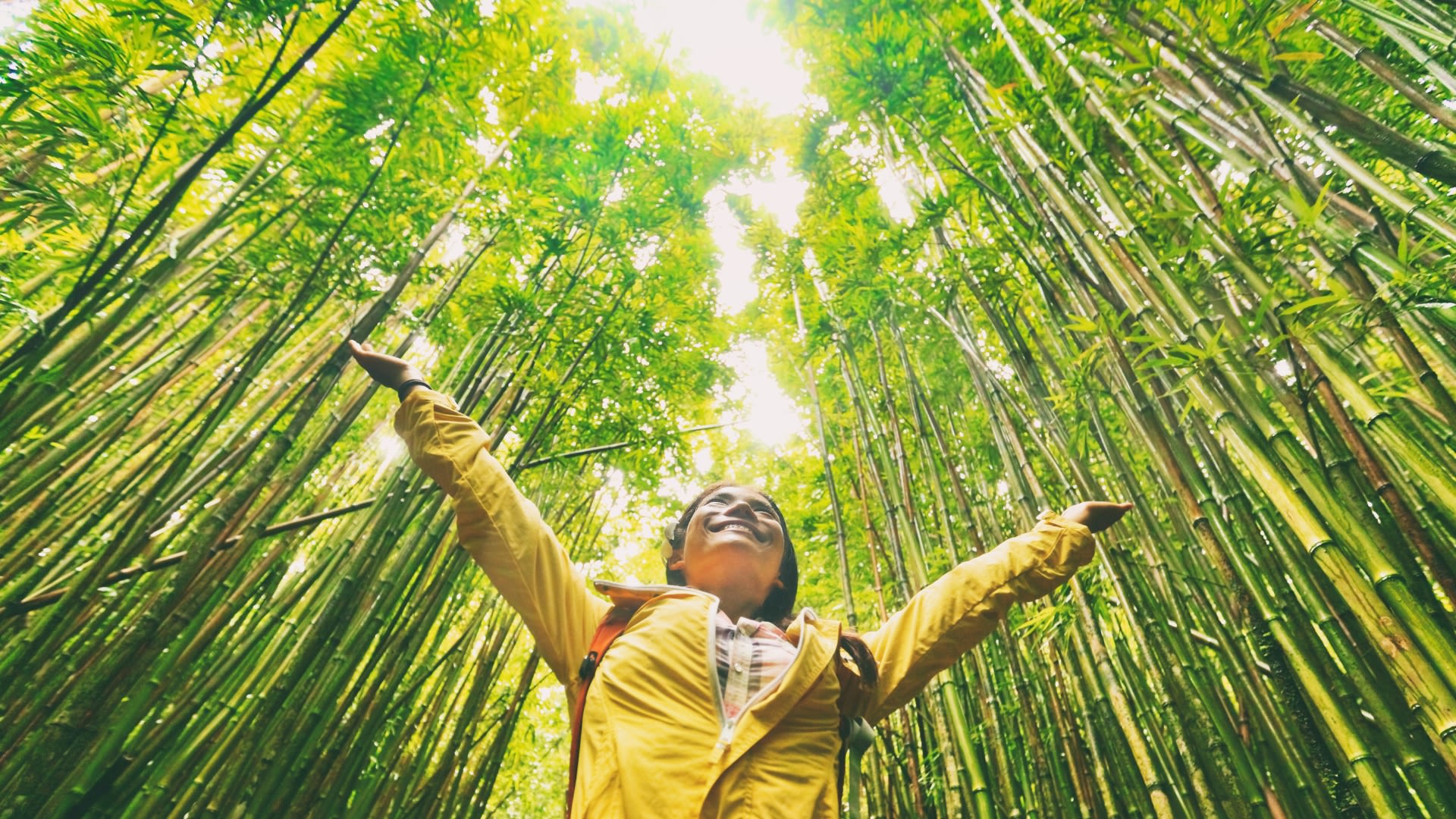 Person stood looking to the sky surrounded by trees